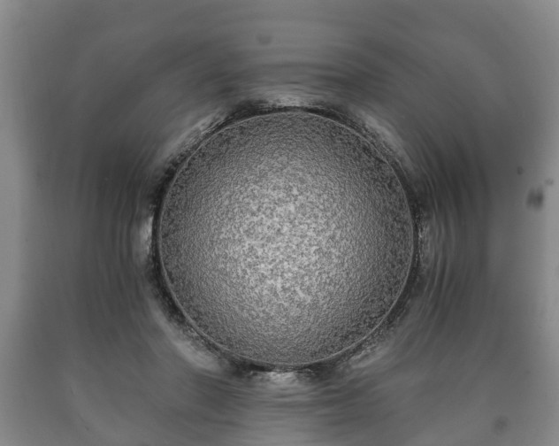 X0000090700406200707271113