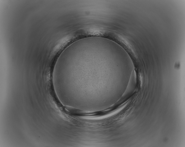 X0000090700407200707271113