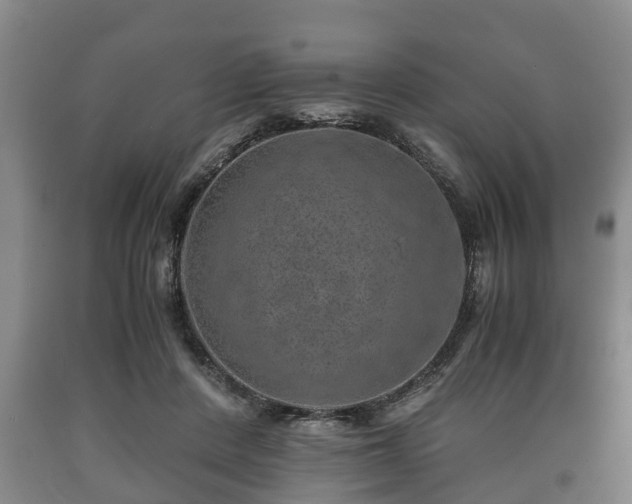 X0000090700408200707271113