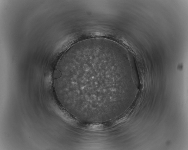 X0000090700410200707271113