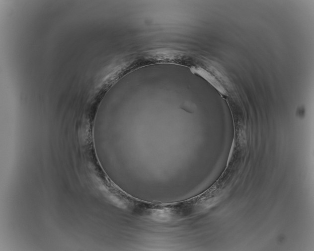 X0000090700411200707271113