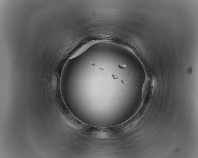 X0000090700412200707271113