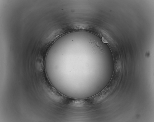 X0000090700414200707271113