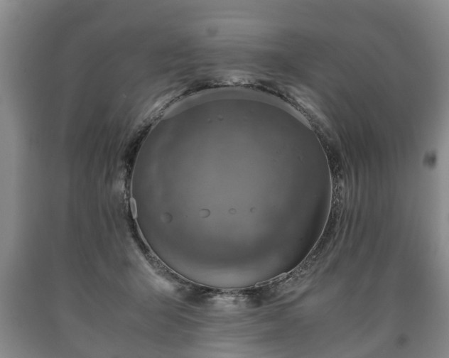 X0000090700415200707271113