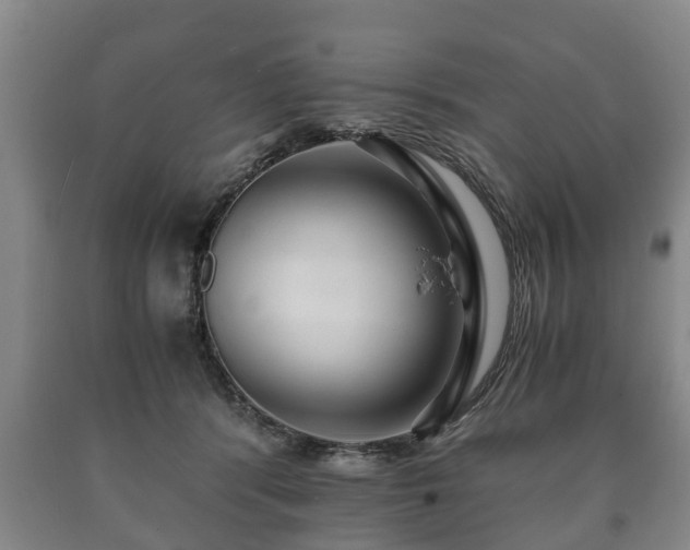 X0000090700416200707271113