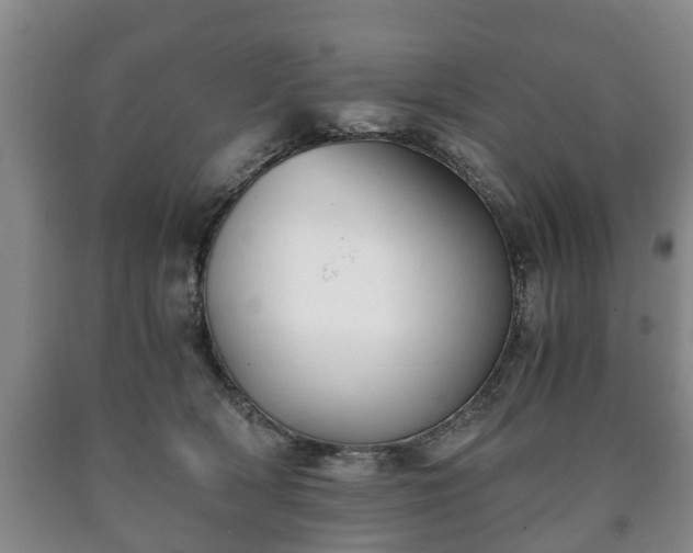 X0000090700418200707271113