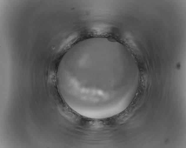 X0000090700419200707271113