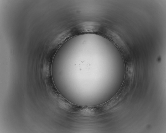 X0000090700422200707271113