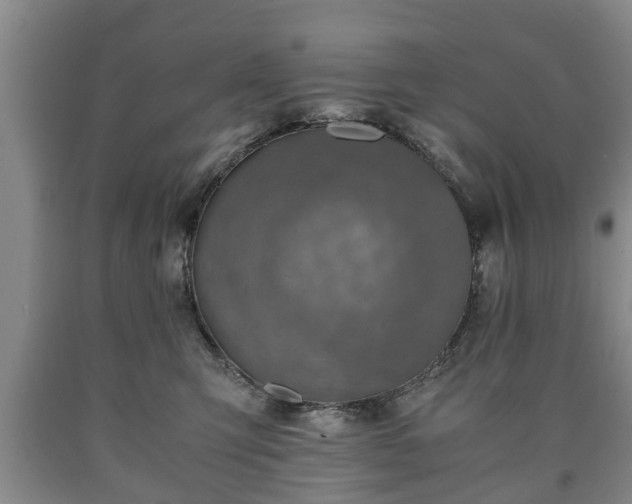 X0000090700423200707271113