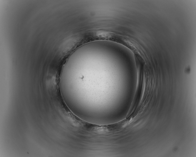 X0000090700424200707271113