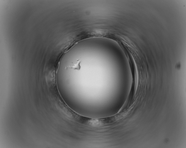 X0000090700425200707271113