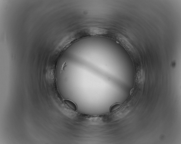 X0000090700426200707271113