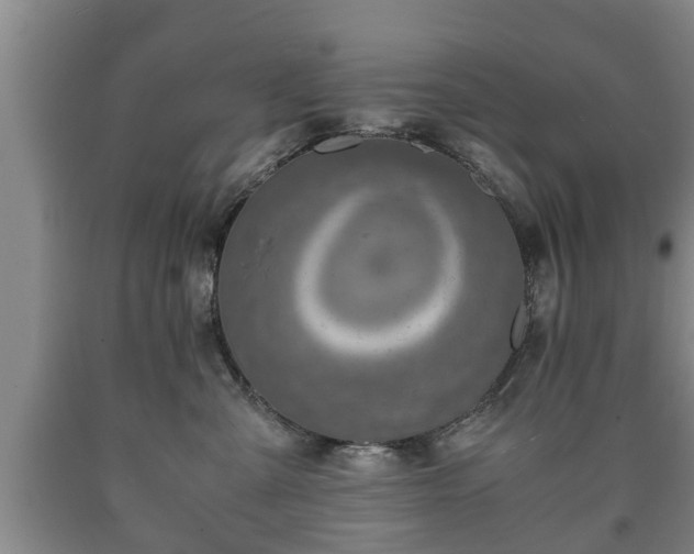 X0000090700427200707271113