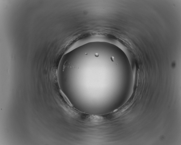 X0000090700429200707271113