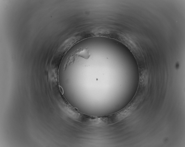 X0000090700430200707271113