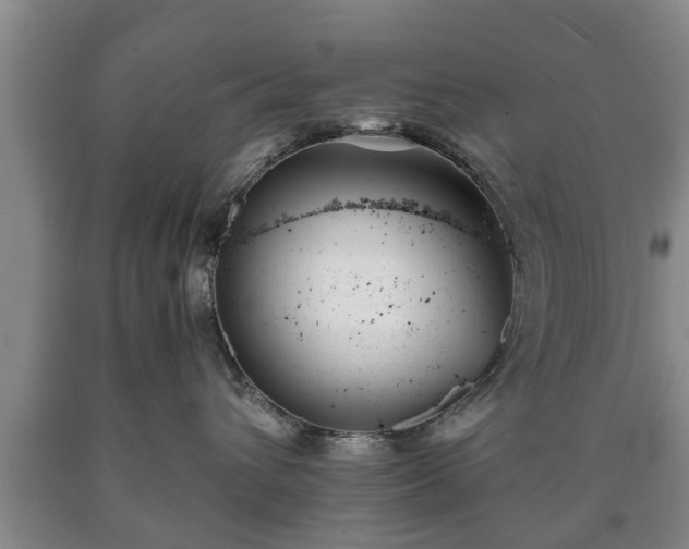 X0000090700432200707271113