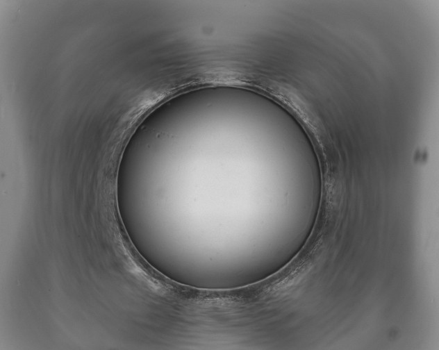 X0000090700433200707271112