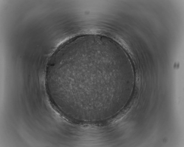 X0000090700434200707271112