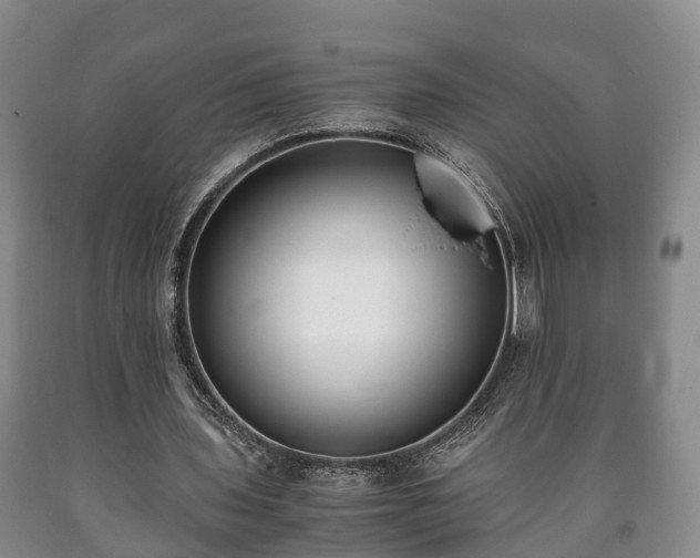 X0000090700435200707271112