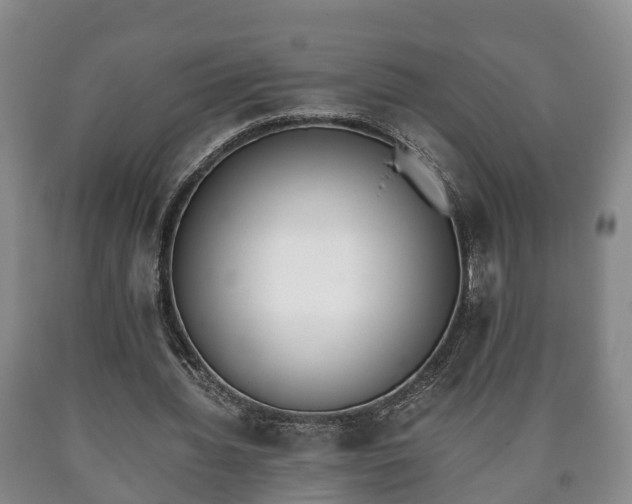 X0000090700436200707271112