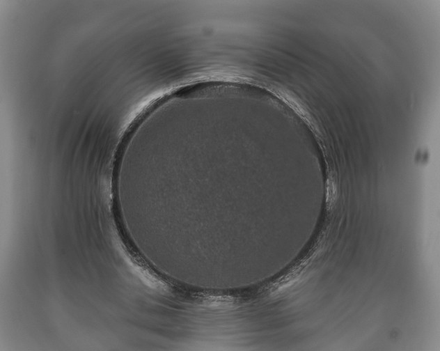 X0000090700438200707271112