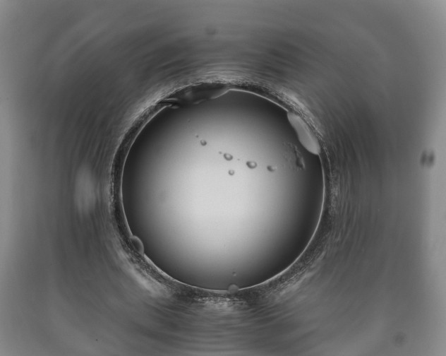 X0000090700439200707271112