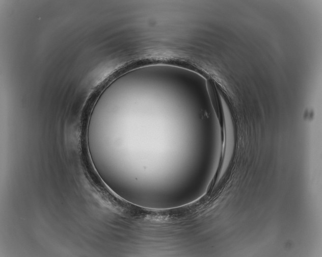 X0000090700440200707271112