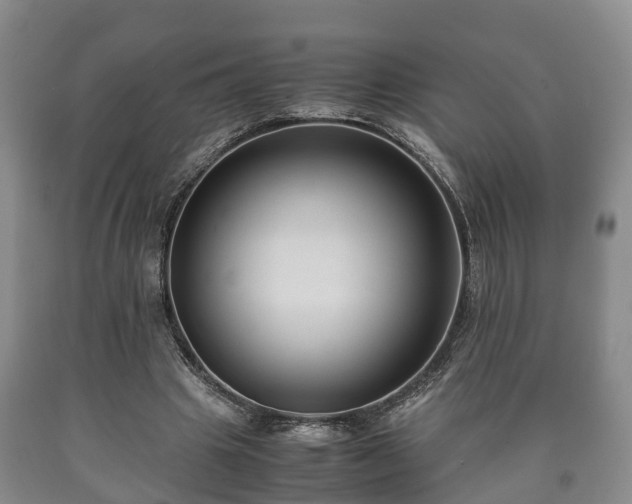 X0000090700441200707271112