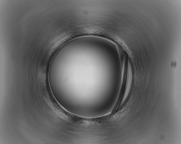 X0000090700442200707271112