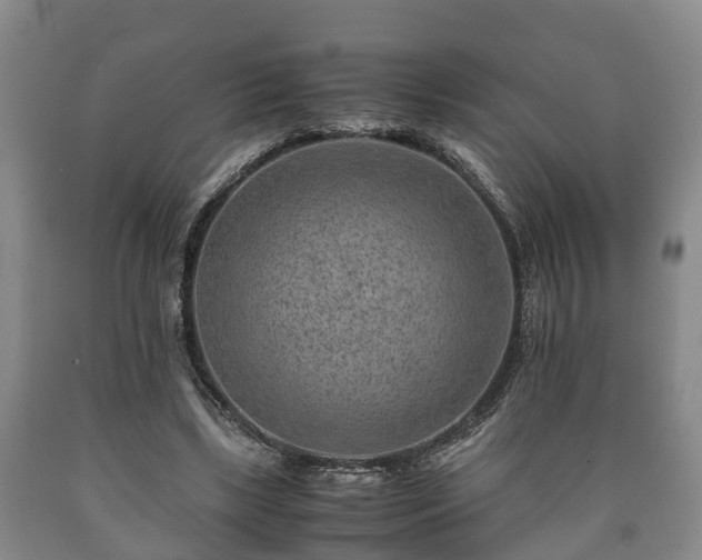 X0000090700443200707271112