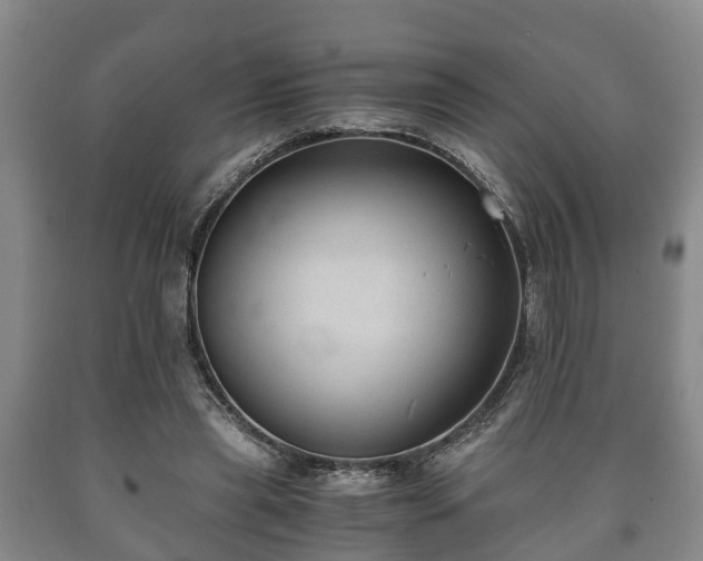 X0000090700445200707271112