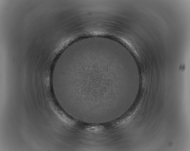 X0000090700447200707271112