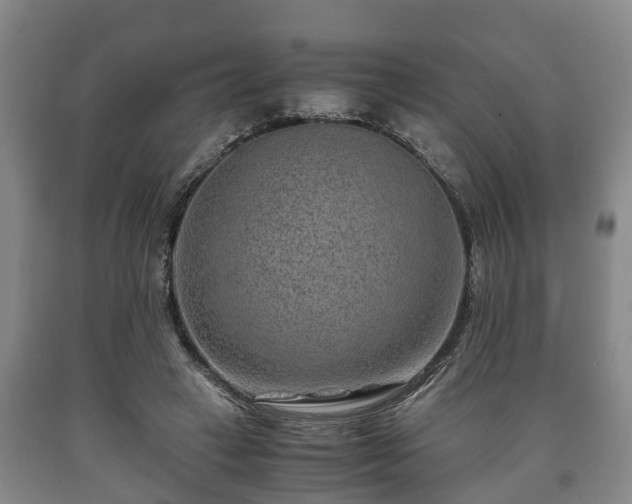 X0000090700449200707271112