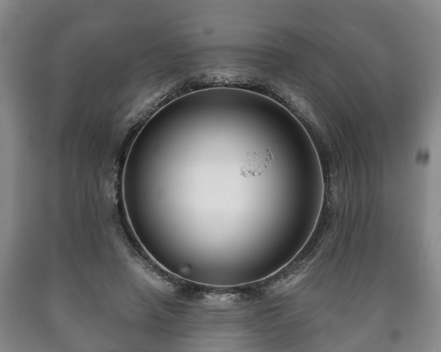 X0000090700450200707271112