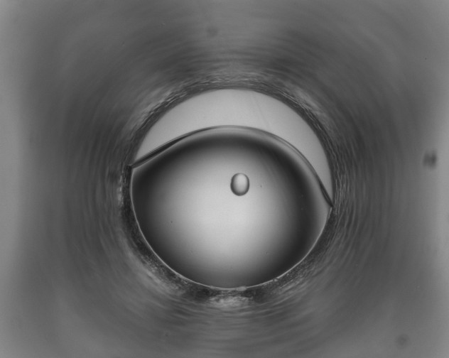 X0000090700452200707271112