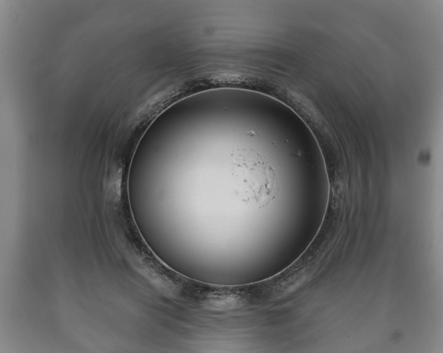 X0000090700454200707271112