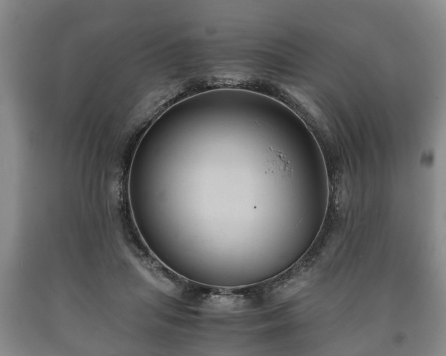 X0000090700455200707271112