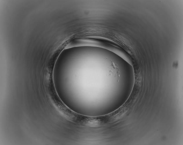 X0000090700456200707271112