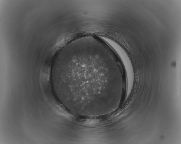 X0000090700458200707271112