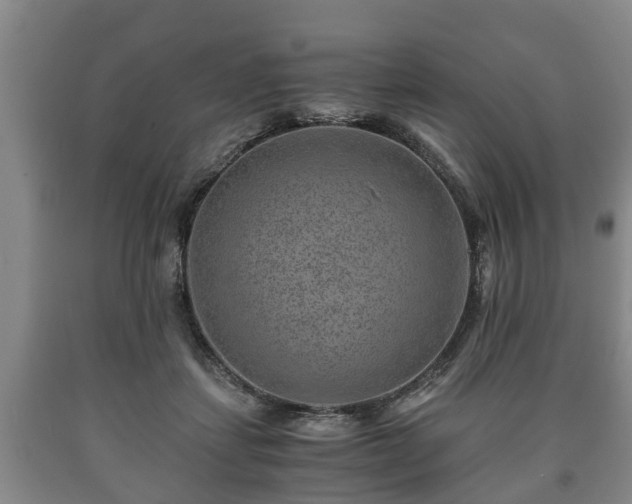 X0000090700459200707271112