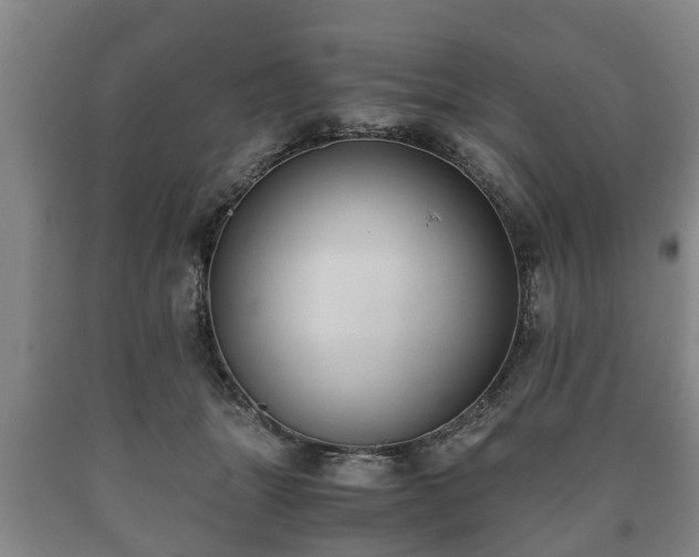 X0000090700463200707271112