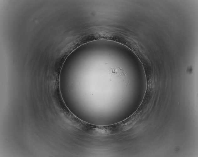 X0000090700464200707271112