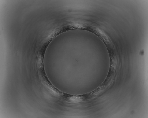 X0000090700465200707271112