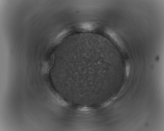 X0000090700467200707271113