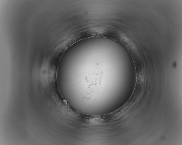 X0000090700468200707271113