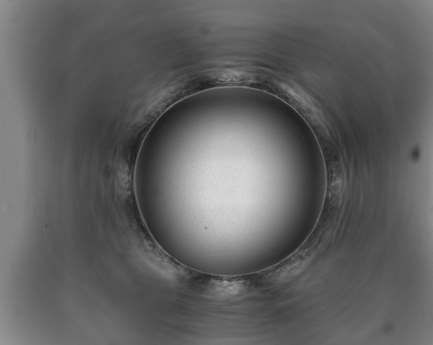 X0000090700469200707271113