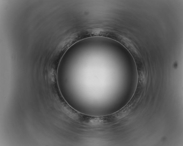 X0000090700470200707271113