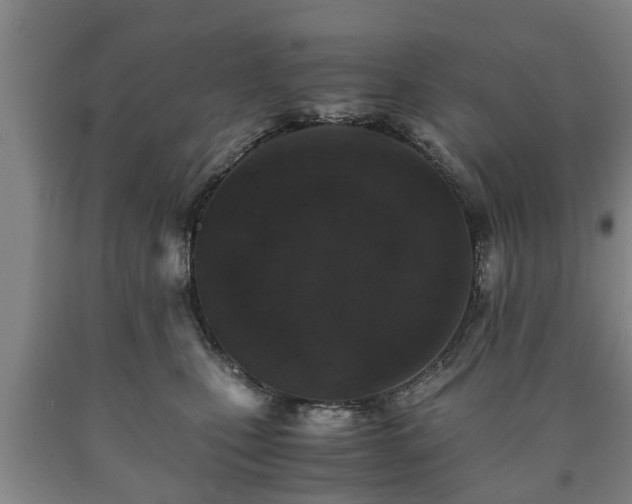 X0000090700471200707271113