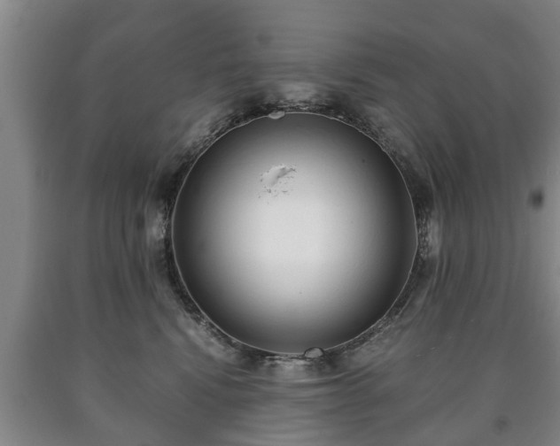 X0000090700472200707271113