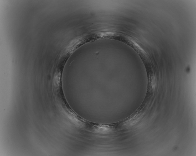 X0000090700475200707271113